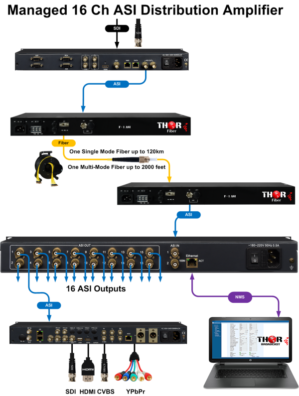 Thor 1x16 DVB ASI Splitter and Distribution Amplifier - Image 3